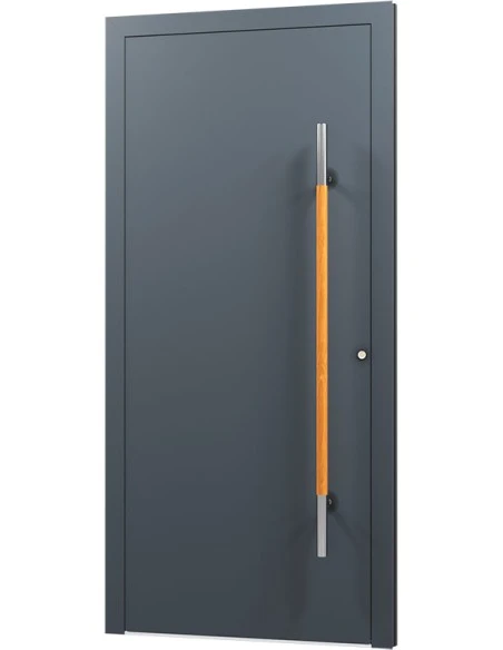 Aluminium Tür Haustür Eingangstür - AN01
