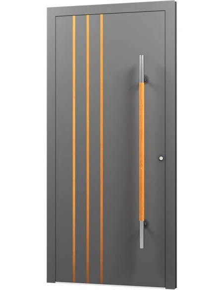Aluminium Tür Haustür Eingangstür - AN09