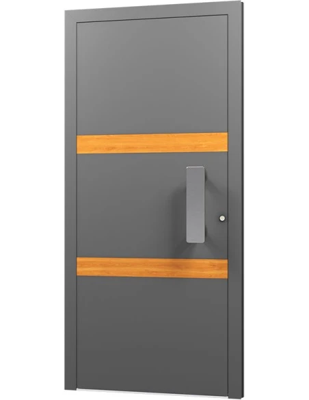 Aluminium Tür Haustür Eingangstür - AN11