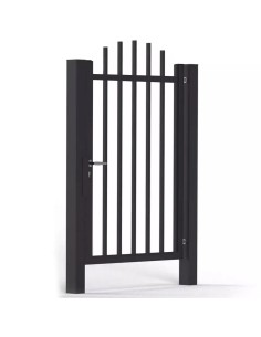 Modern Stahl Pforte Gartentür BR.24
