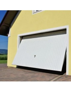 Schwingtor Stahl Garagentor 220 x 200 cm 2