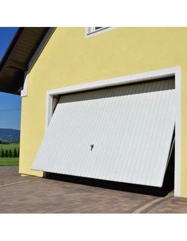 Schwingtor Stahl Garagentor 240 x 200 cm