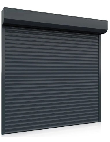 Rolltor Garagentor GUARD 77 - 200 x 200 cm