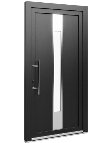 Kunststoff Eingangstür PVC Modell 66