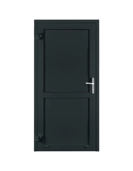 Aluminium Tür 1020 x 2080 mm MB-45