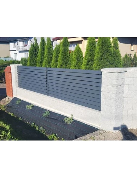Modern Stahl Gartentor Flügeltor BR.12