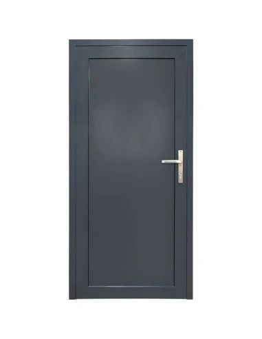 Aluminium Tür Paneel 1000 x 2100 mm MB-45