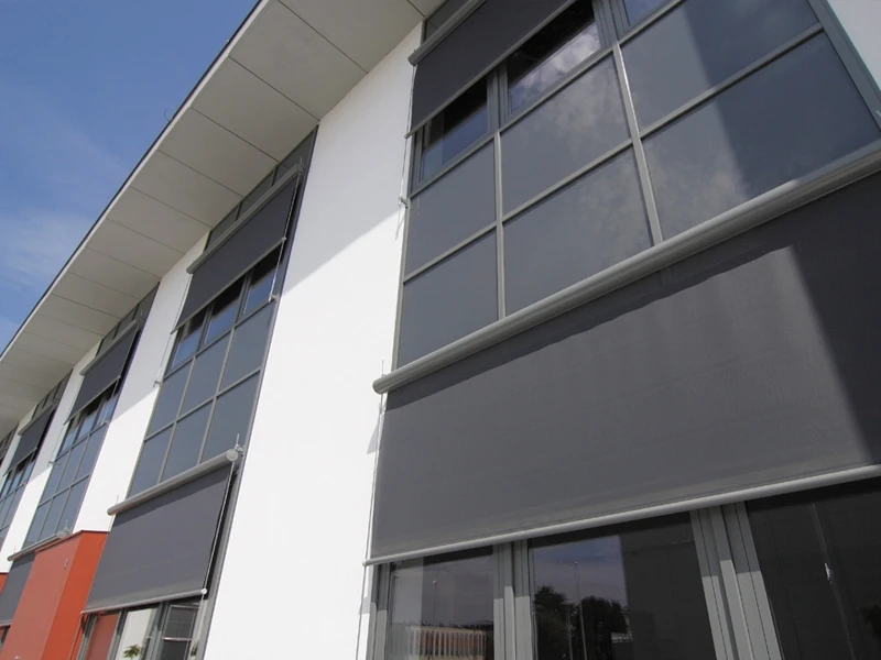 Galeria 5